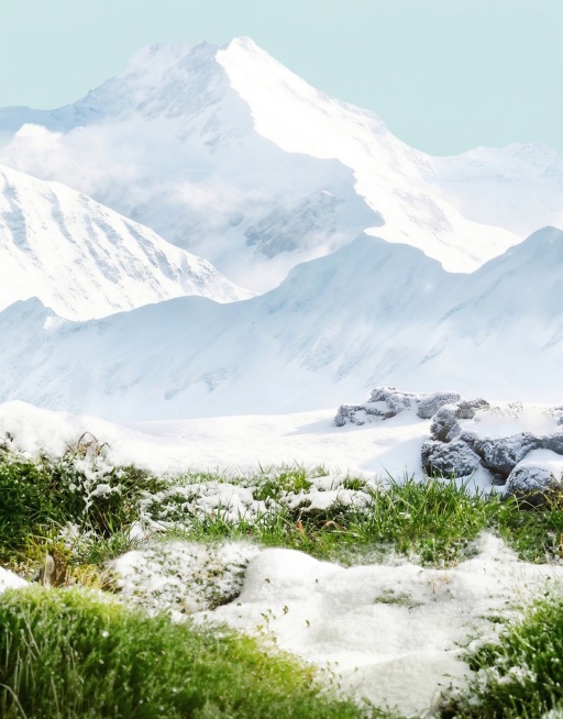 参考图2，在图1的基础上添加带雪的草地，不要冬虫夏草和文字，草地不要覆盖雪山，按照图2的比例预览效果