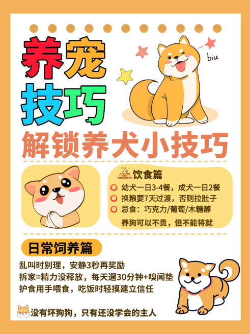 宠物攻略宣传小红书配图预览效果
