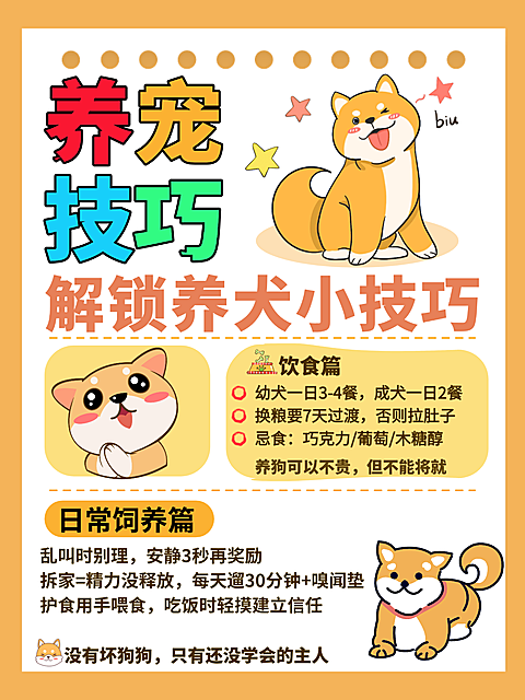 宠物攻略宣传小红书配图