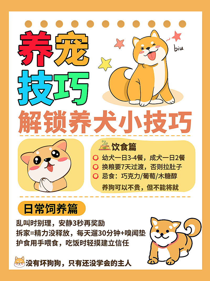 宠物攻略宣传小红书配图