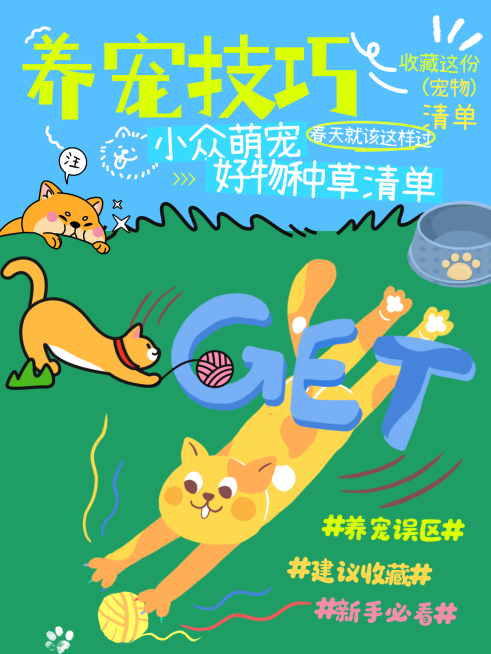 孟菲斯风格养宠技巧猫咪趣味互动大字风标题突蓝绿配色预览效果