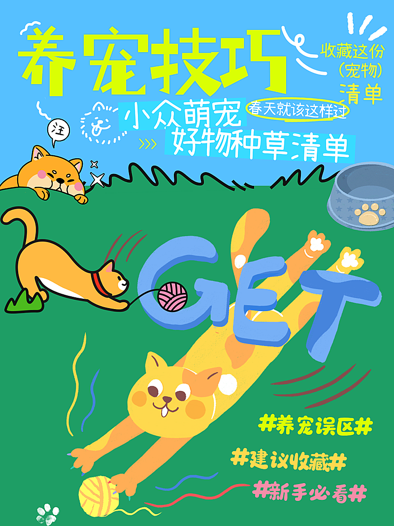 孟菲斯风格养宠技巧猫咪趣味互动大字风标题突蓝绿配色