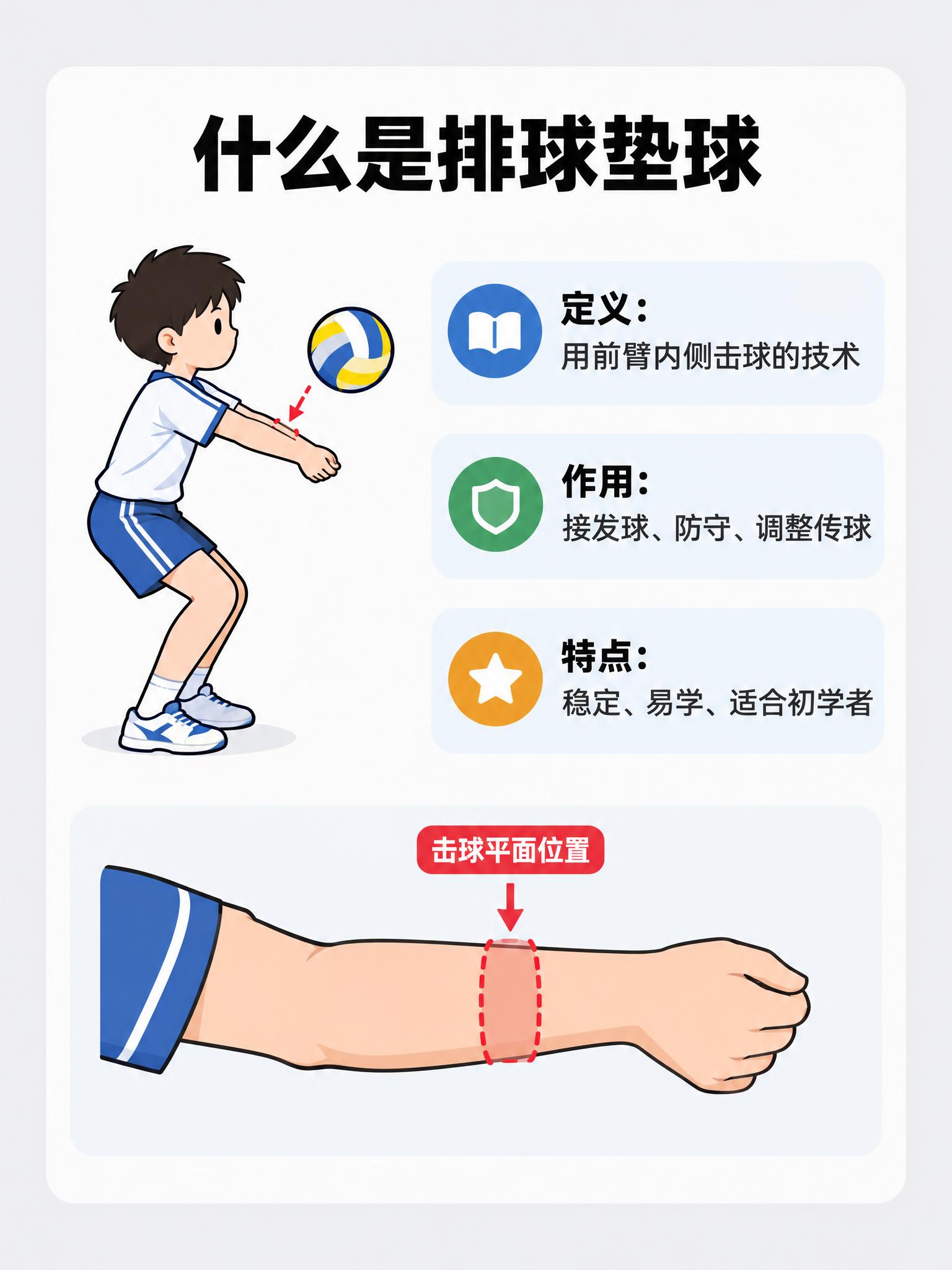 小红书科普信息图，排球垫球定义讲解。画面主体是一张白色圆角知识… - 图片创意预览