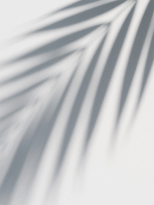 一张白色背景上有着柔和渐变灰色光影的图片，光影呈现出类似树叶缝隙投射下来的细长条形，线条边缘模糊自然，整体阴影质感轻盈通透，光线过渡柔和，没有明显的硬边和锐利棱角，具有自然的光影层次感和空间感，适合作为阴影素材使用。预览效果