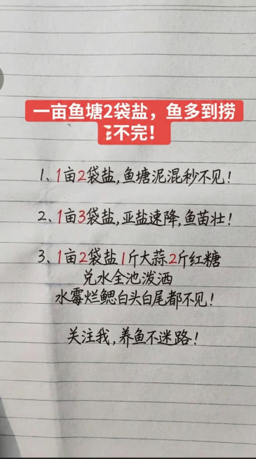 参考这张手写笔记图片的排版布局和字体风格，顶部使用红色块白色字体写大标题，替换所有文字内容为：顶部标题："一亩鱼塘2袋盐，鱼多到捞不完!"，内容部分："1、1亩2袋盐,鱼塘泥混秒不见! 2、1亩3袋盐预览效果