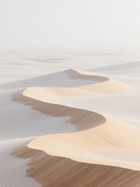 中景镜头，在一片广袤无垠的纯净白色背景下，数道柔和的米黄色与浅棕色沙丘曲线以极简姿态延展，沙丘表面仿若真有微风轻柔拂过，显露出极细腻沙粒质感与自然纹理走向，光线均匀柔和，尽显宁静开阔的干净极简氛围，适配背景素材。预览效果