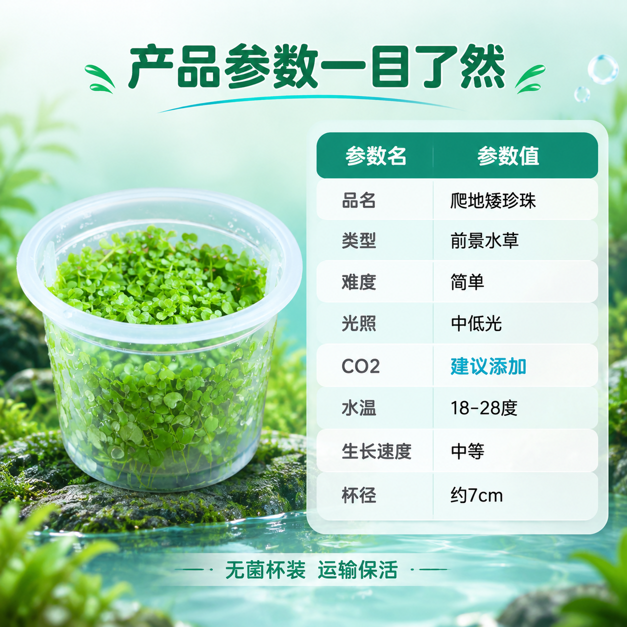 [主图-8] 规格参数 尺寸规格 养殖参数表 [统一基调] 清… - 图片创意预览