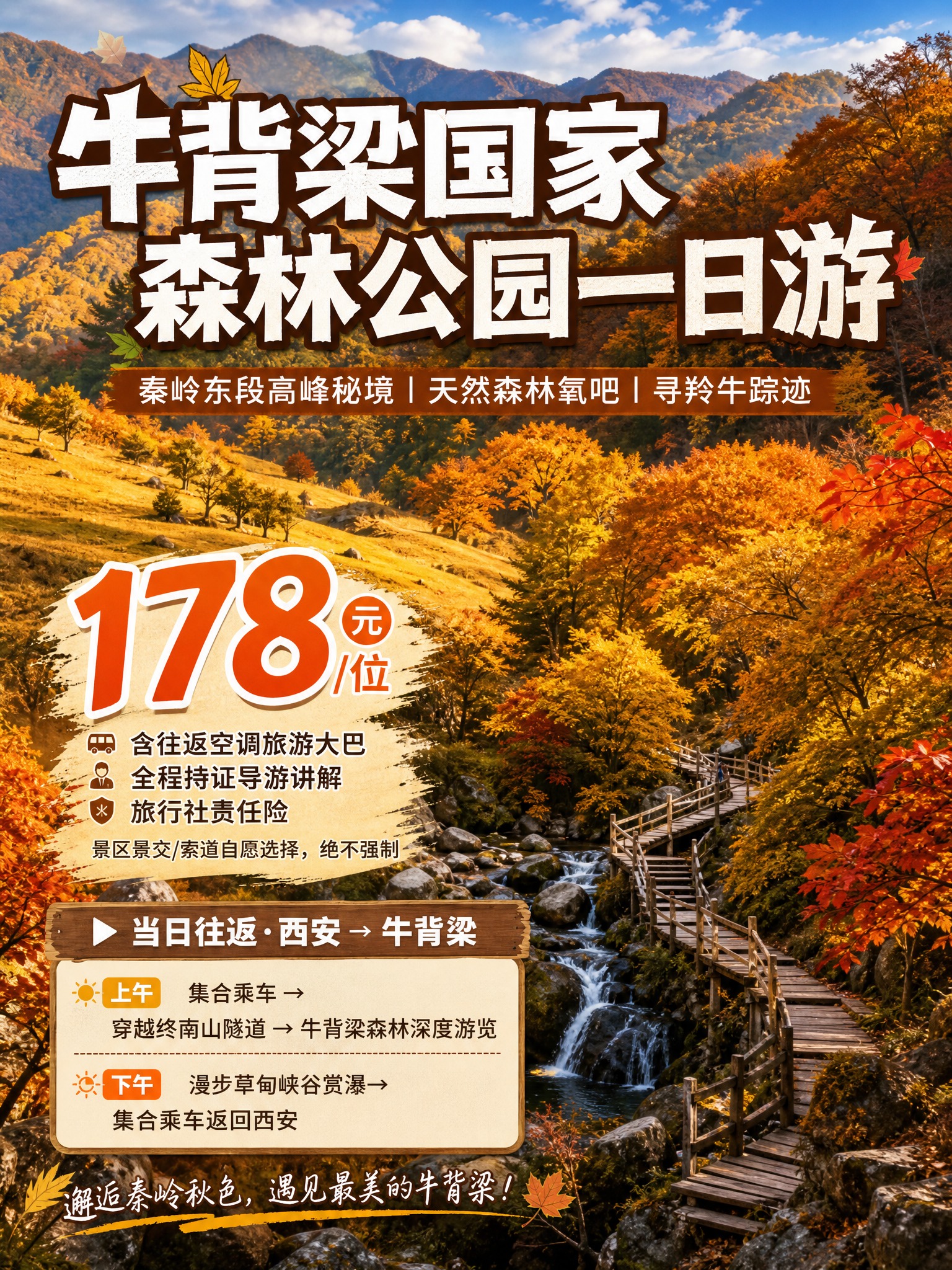 3:4竖版小红书引流海报，牛背梁国家森林公园一日游，秦岭秋日实… - 图片创意预览