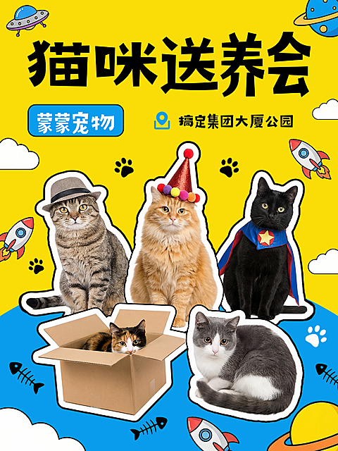 宠物送养小红书封面