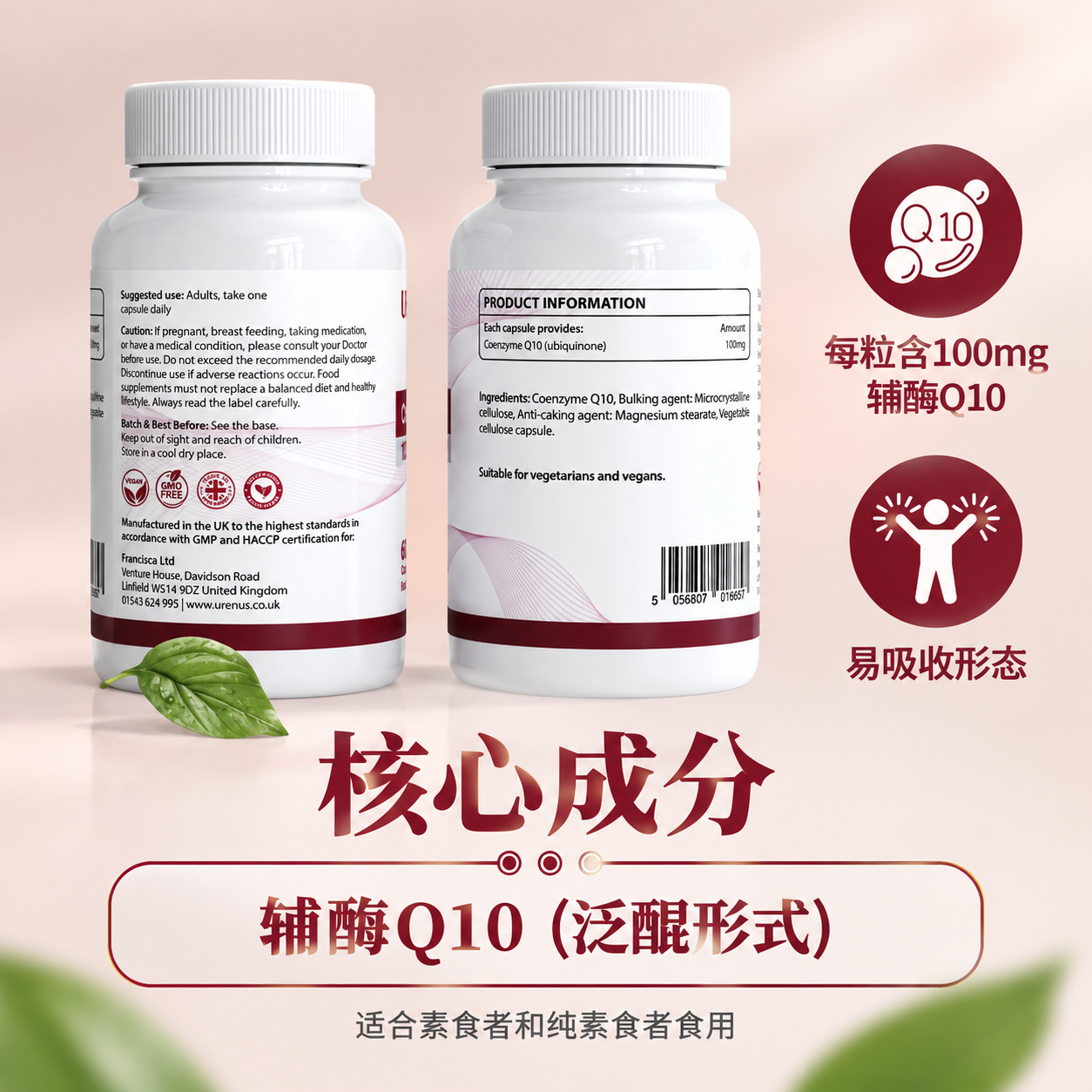 [主图-4] 成分与产品信息图 配料说明 [统一基调] 整体风… - 图片创意预览