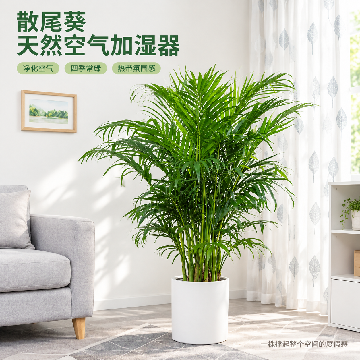 [主图-1] 空间氛围与单品呈现，散尾葵客厅场景英雄图，突出热… - 图片创意预览