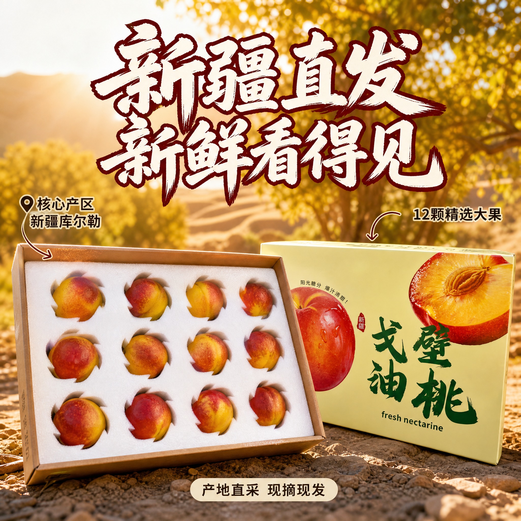 [主图-2] 新疆戈壁油桃礼盒 产地溯源与品质信任 [统一基调… - 图片创意预览