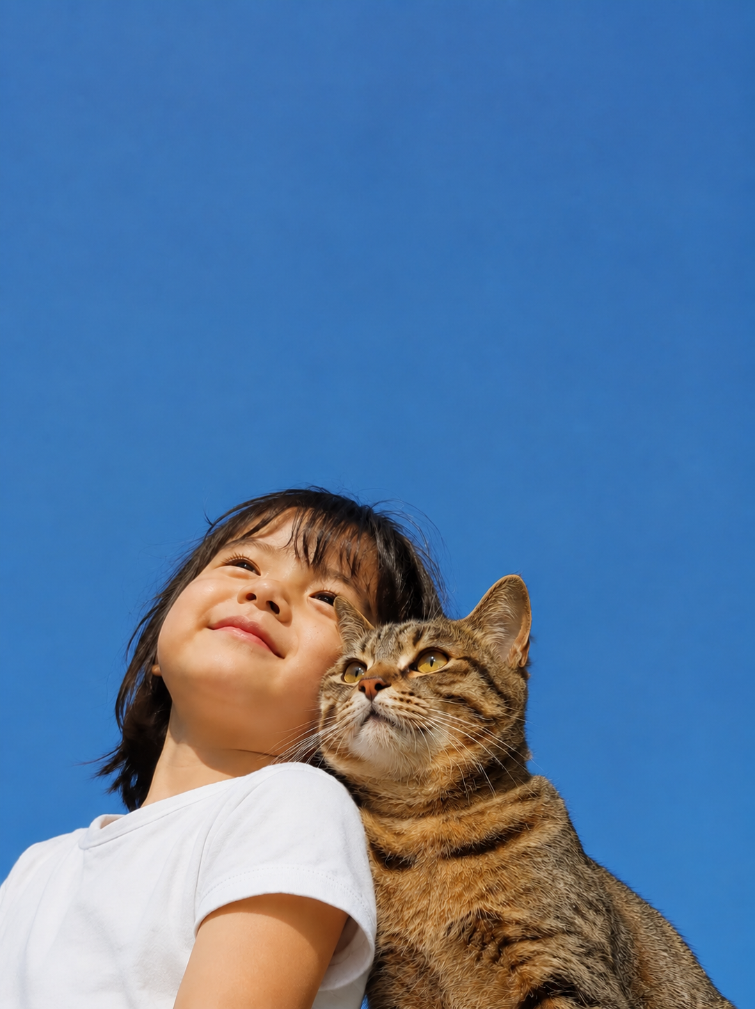 将小女孩的粉白条纹T恤换成纯白色短袖T恤，去掉猫咪脖子上的珍珠… - 图片创意预览