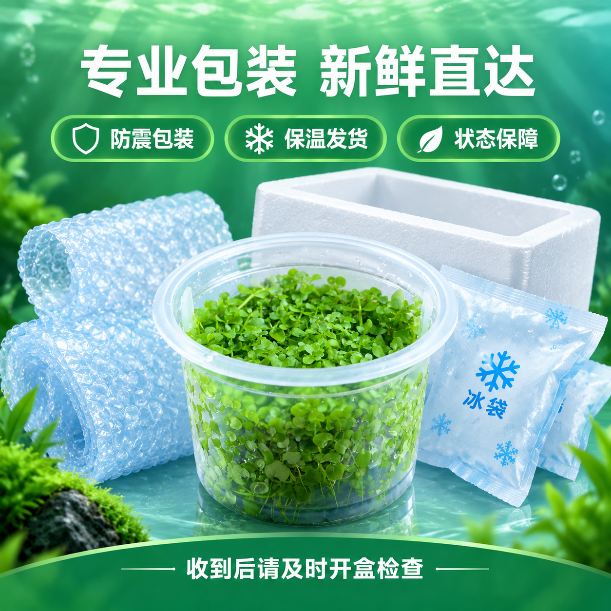 [主图-10] 包装与发货，主题：专业包装 新鲜发货。 [统一… - 图片创意预览