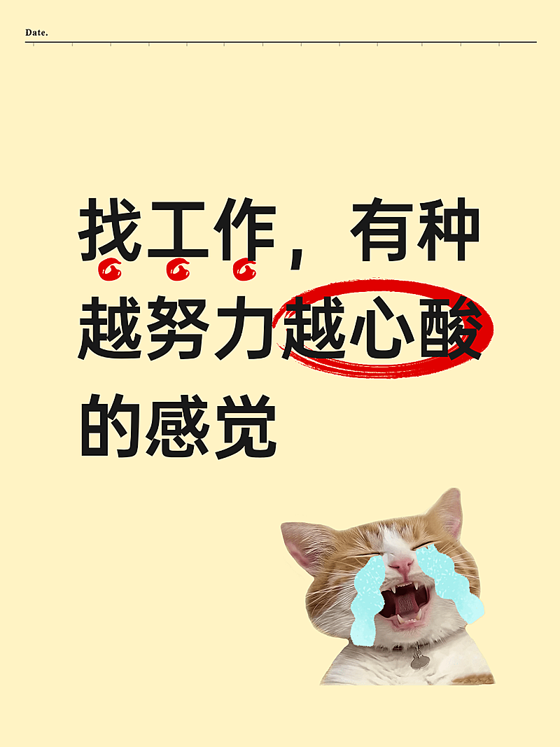 求职招聘分享爆款简约吸睛大字猫meme小红书封面