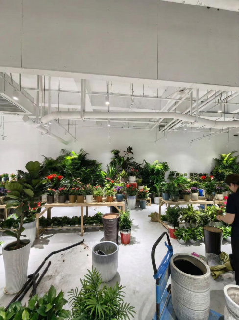 把这九张照片调整尺寸和亮度，调整成小红书适合的尺寸和亮度，最后把这九张照片合成一张照片。预览效果