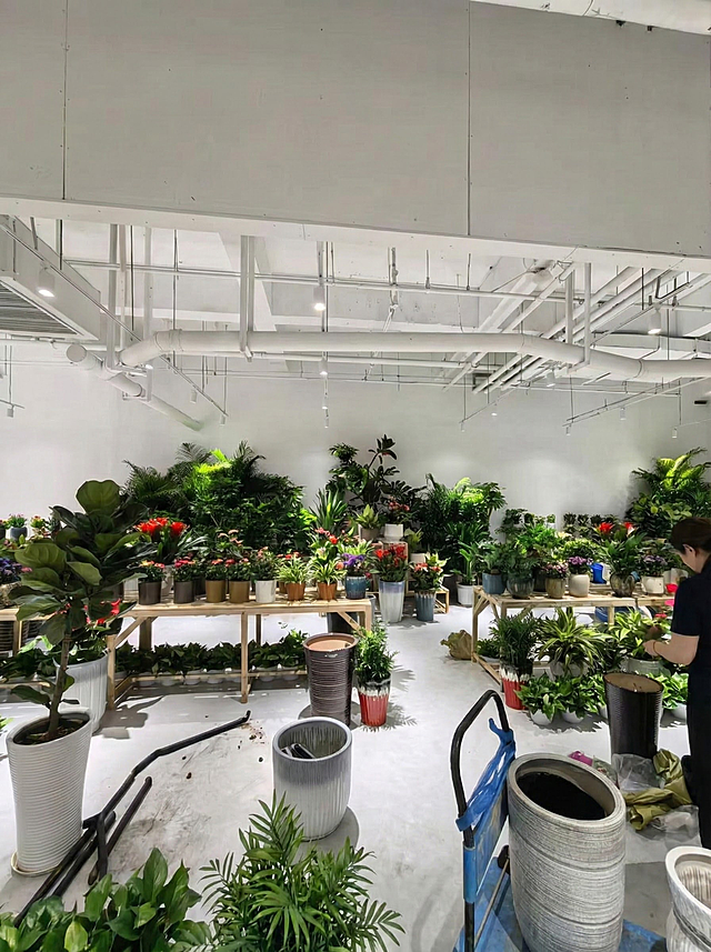 把这九张照片调整尺寸和亮度，调整成小红书适合的尺寸和亮度，最后把这九张照片合成一张照片。