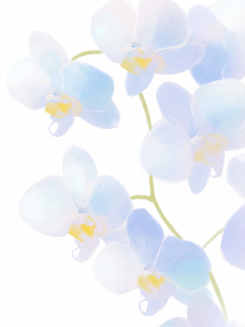 基于参考图生成同款花卉，底色以白色为主，去除磨砂肌理感，去掉所有文字，完整展现图中所有花瓣，图片四周从花朵渐变到白色的空白效果，保持原图的柔和淡雅风格，兰花保留原图的淡蓝白色和黄色花蕊色彩预览效果
