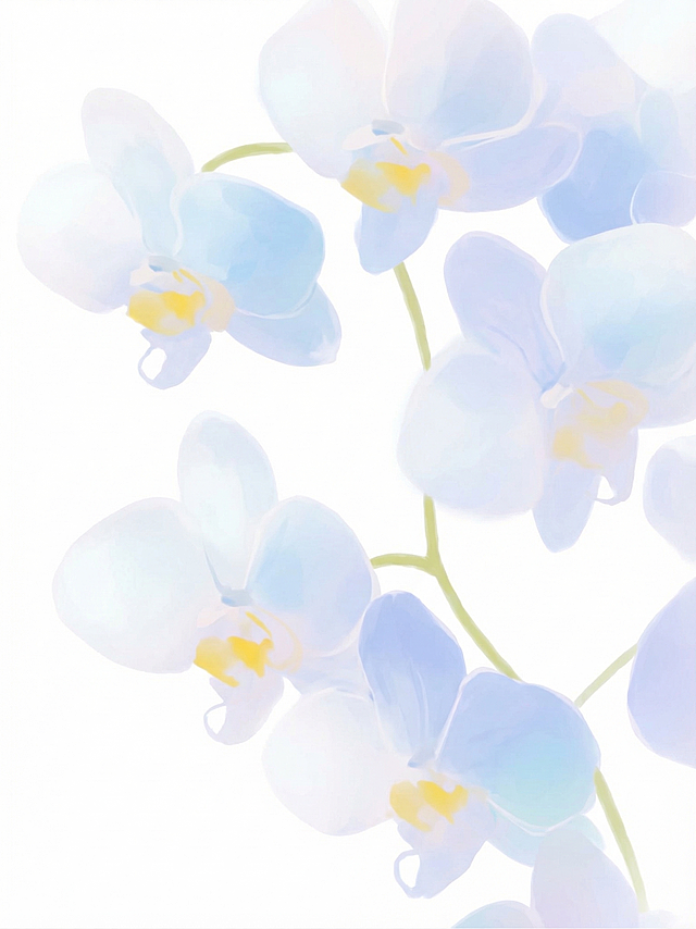 基于参考图生成同款花卉，底色以白色为主，去除磨砂肌理感，去掉所有文字，完整展现图中所有花瓣，图片四周从花朵渐变到白色的空白效果，保持原图的柔和淡雅风格，兰花保留原图的淡蓝白色和黄色花蕊色彩