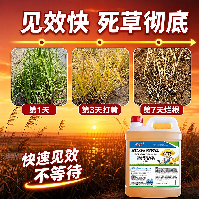 [主图-5] 见效快卖点，三天打黄七天烂根。
[统一基调] 京东品质稳重风，简洁清晰，文字占比<30%，一图一重点；主色橙红+金黄，背景黄昏芦苇场景，标题黄底红字，辅助字白色。
[画面] 时间轴横向贯穿画面，三个阶段图从左到右：第1天（杂草青绿）、第3天（杂草发黄）、第7天（杂草烂根枯死）。产品壶体放在右下角，占画面约25%。
[光影质感] 三阶段图为真实杂草状态摄影，时间轴为简洁线条，产品影棚质感，整体暖色调统一。
[配色] 背景橙红渐变，时间轴金黄色，三图真实色，标题白色。
[文字版式] 顶部大标题"见效快 死草彻底"，三图下方分别标注"第1天""第3天打黄""第7天烂根"，产品旁小字"快速见效 不等待"，文字清晰有条理。
[输出要求] 1:1正方形，2048x2048，时间轴清晰，产品完整，文字可读，无水印无平台Logo。