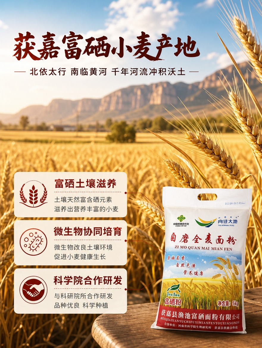 [商品] 使用【图1】向往大地自磨全麦面粉袋装作辅助露出；保留… - 图片创意预览