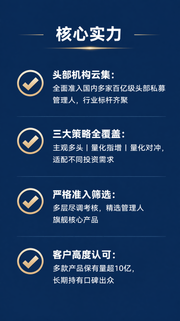 [第2屏] 核心实力总览，建立客户信任。本屏展示服务四大核心优势。
[氛围/风格] 专业清爽金融风，简洁明了，信息层级清晰，符合移动端阅读习惯。
[元素布局] 顶部预留板块标题区域，下方四行优势每行搭预览效果