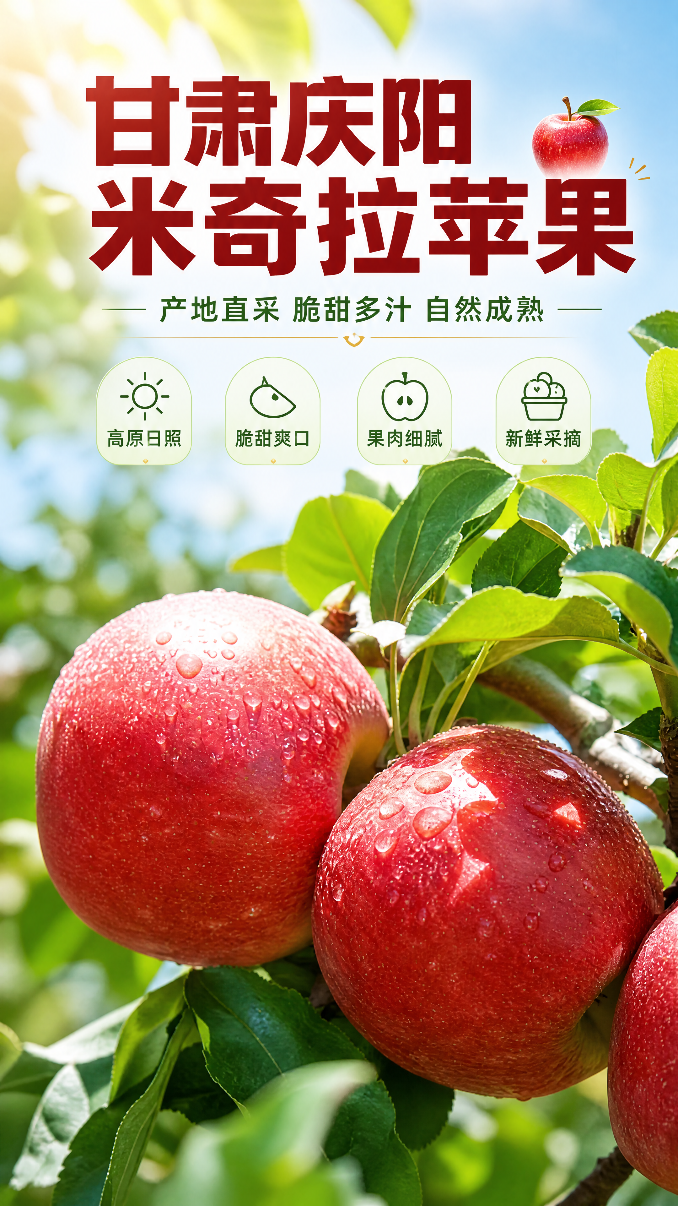 [商品] 使用【图1】甘肃庆阳米奇拉苹果；保留苹果的红色果皮、… - 图片创意预览
