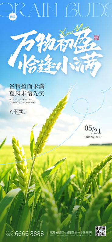 小满节气祝福通用清新感全屏竖版海报预览效果