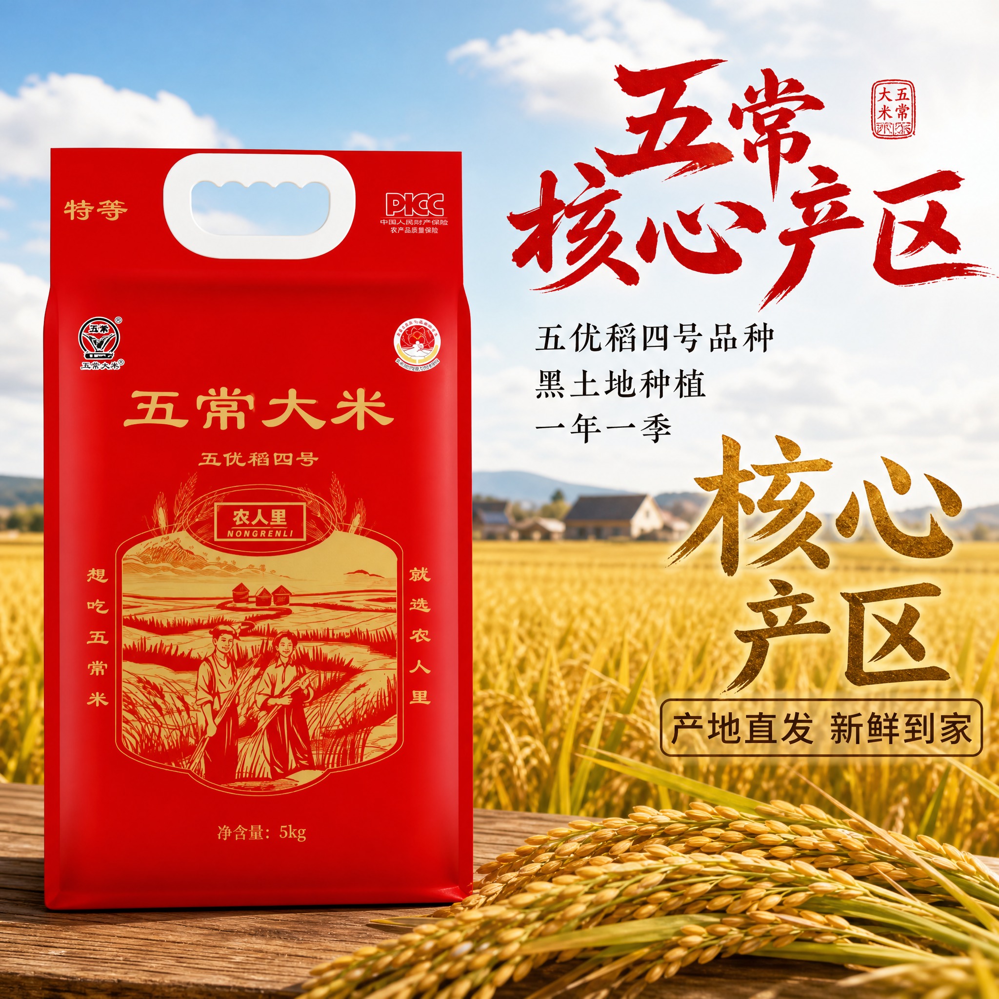 [主图-2] 产地溯源 五常核心产区信任背书图。 [统一基调]… - 图片创意预览