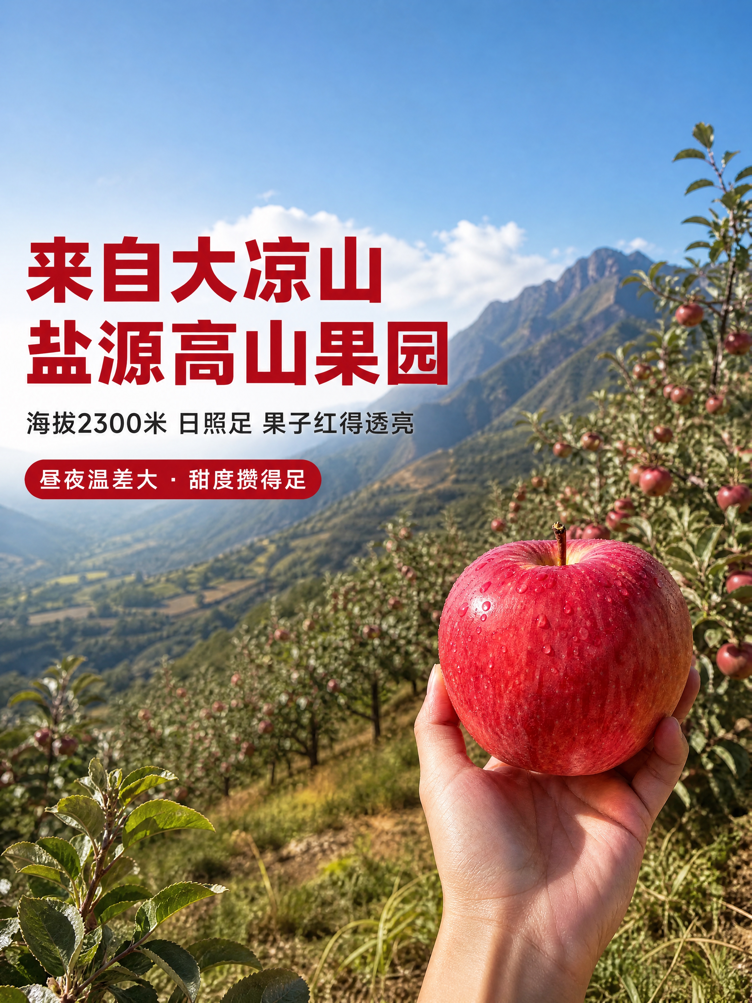 [主图-2 红将军 3:4 产地风景] 产地高山果园，将1:1… - 图片创意预览