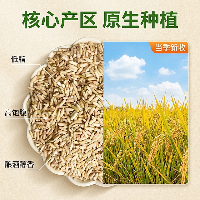 [垫图]https://gdesign-dam-hz.dancf.com/35965152174525486/3c88c84f5ad545a887aa9ed02a2d2276.jpg
[主图主题]长粒糯糙米核心卖点展示
[氛围/风格]突出亮眼，自然真实，拼多多高转化风格
[画面元素]左侧是盛在白碗里的长粒糯糙米，右侧是稻田实景小窗（金黄稻田、蓝天白云），米粒颗粒分明，表面有自然光泽，背景是浅米色纹理背景，铺满全屏无边框
[配色色系]主色调：浅米褐（糙米）、金黄（稻田）；辅助色：浅米白（背景）、天蓝色（天空）
[视角构图]平视，左右分区布局，产品主体清晰
[文字版式]顶部大字体“核心产区 原生种植”，绿色粗体字；左侧产品旁用细引线标注三个卖点：“低脂”“高饱腹”“酿酒醇香”，白色字配极细引线对应到米粒；右侧稻田上方标注“当季新收”橙色小标签。文字均不遮挡产品主体
[比例分辨率]1:1比例，2K分辨率