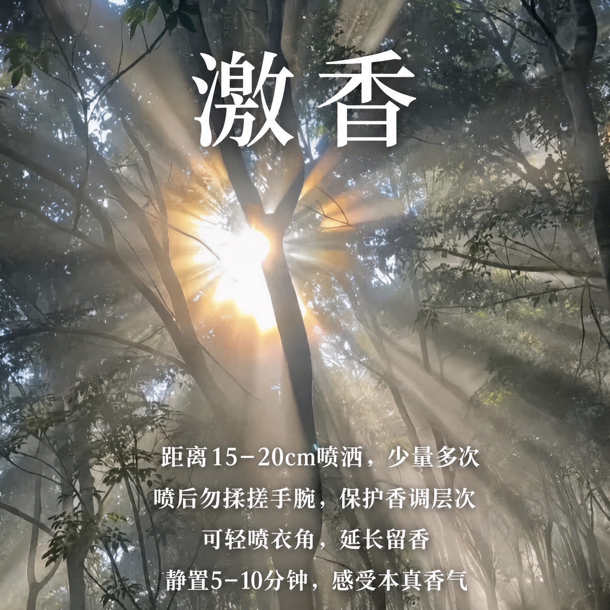 在这张森林阳光图片上添加文字，保持图片原有画面不变。顶部居中位… - 图片创意预览