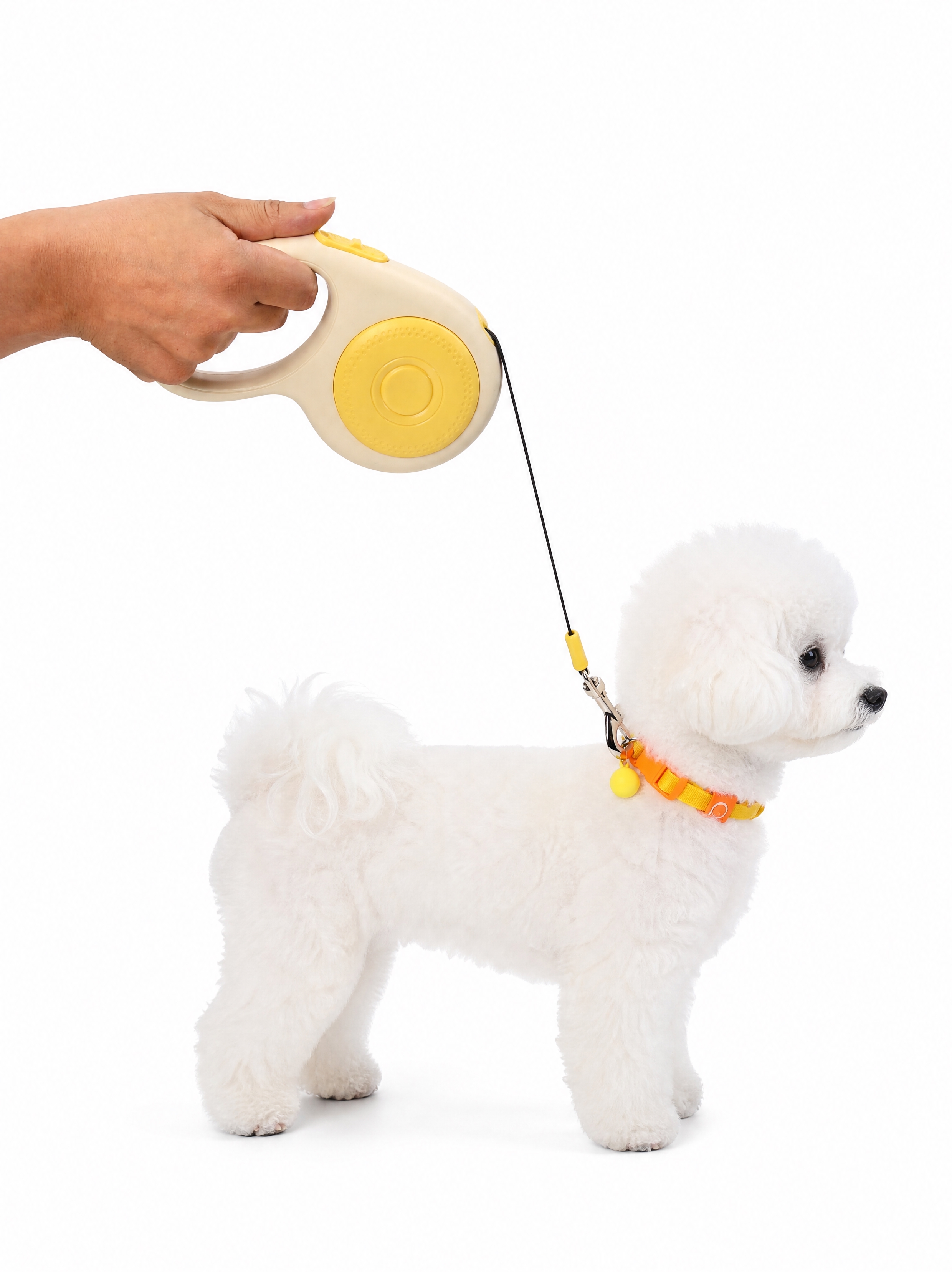 将图中的米色布艺假狗模型替换为一只真实的白色韩版比熊犬，比熊犬… - 图片创意预览