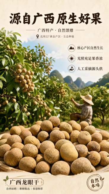 [第2屏] 广西桂圆干产地介绍屏。上半部分广西龙眼果园实景，下半部分放【图1】桂圆干产品。顶部大标题「源自广西 原生好果」，右侧三点卖点：核心产区自然生长、光照充足果香浓、人工采摘源头供。自然户外日光预览效果