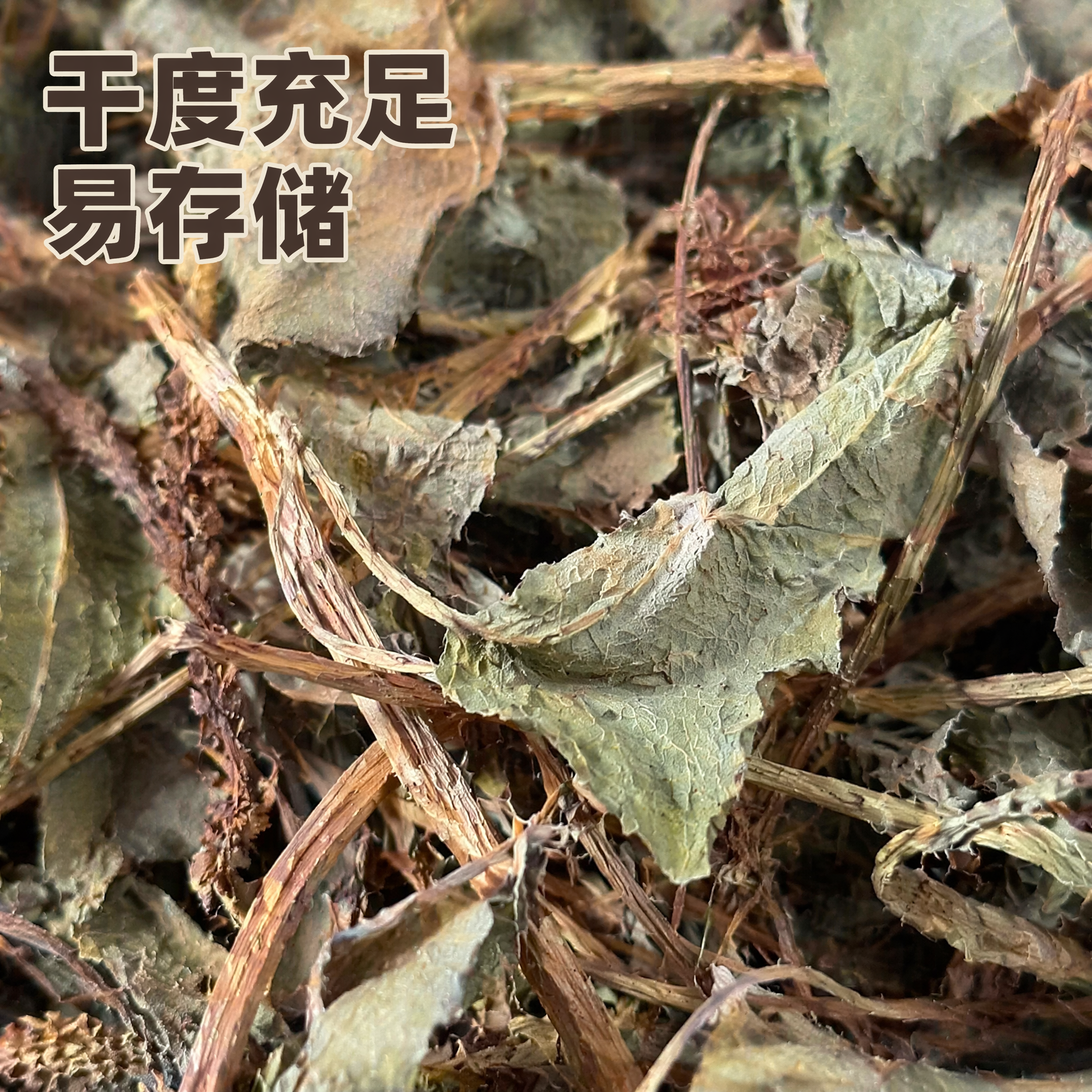 [主图-3] 产品外观细节微距特写，突出干度充足的产品优势。氛… - 图片创意预览