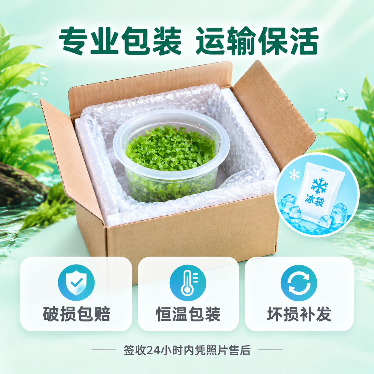 [主图-10] 包装与运输 保活承诺 售后保障 [统一基调]… - 图片创意预览