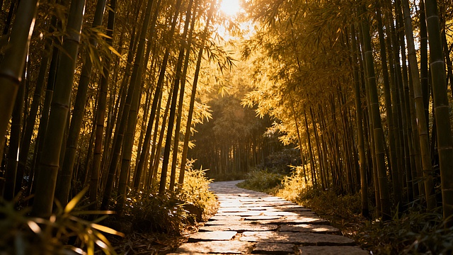 再重新 生成20张，跟前面这些不要重复的