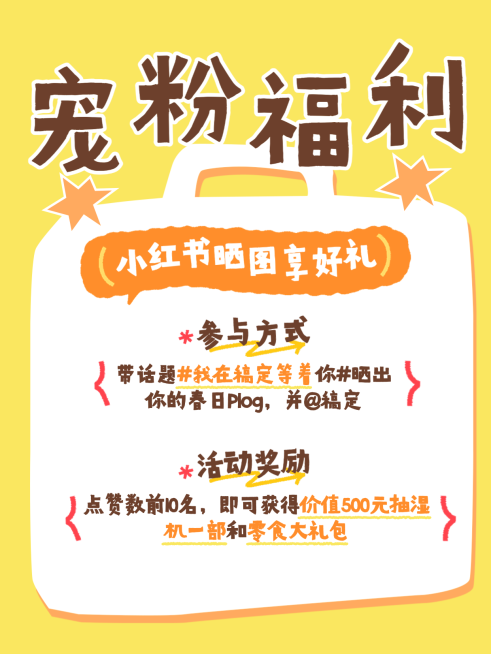 小红书福利营销封面海报内页预览效果