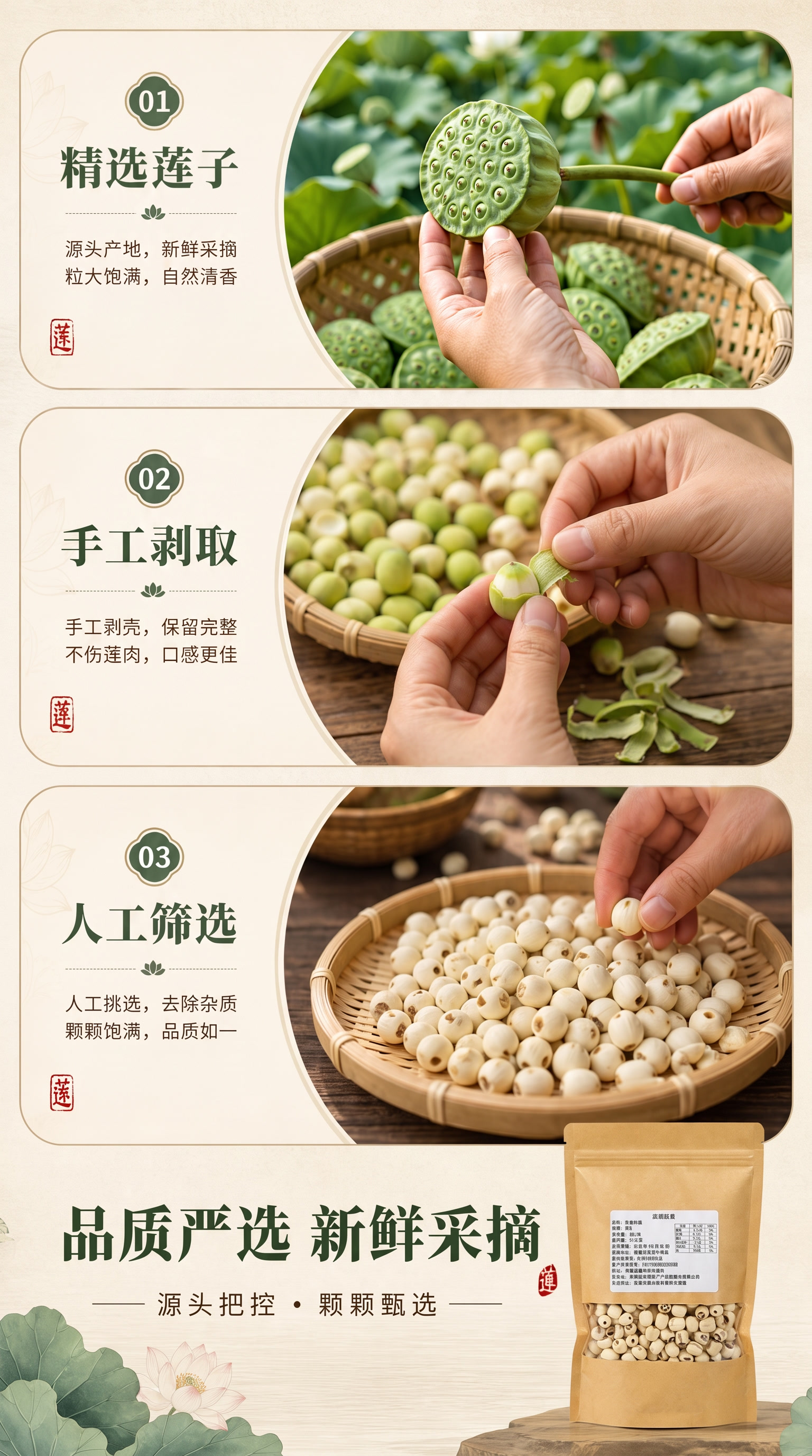 手工剥取的配图，莲子皮要绿，要看得出剥下的痕迹 - 图片创意预览