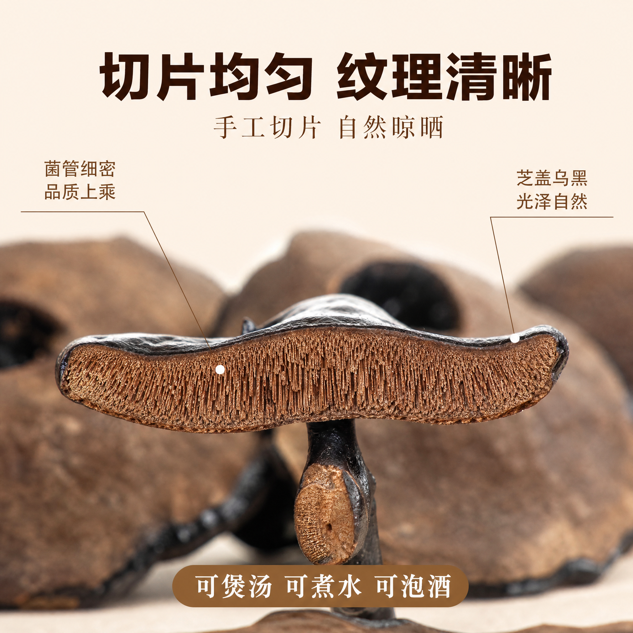 [主图-3] 黑灵芝切片剖面微距特写 细节与成分展示。 [氛围… - 图片创意预览