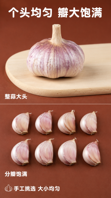 [第4屏] 多规格展示屏-整蒜分瓣大小对比展示。
[氛围/风格] 清晰对比展示风格，朴实接地气，商业农产品摄影。
[元素布局] 画面分上下两个区域：上方展示整颗大个紫皮干蒜，保留输入产品图的紫纹外皮完预览效果