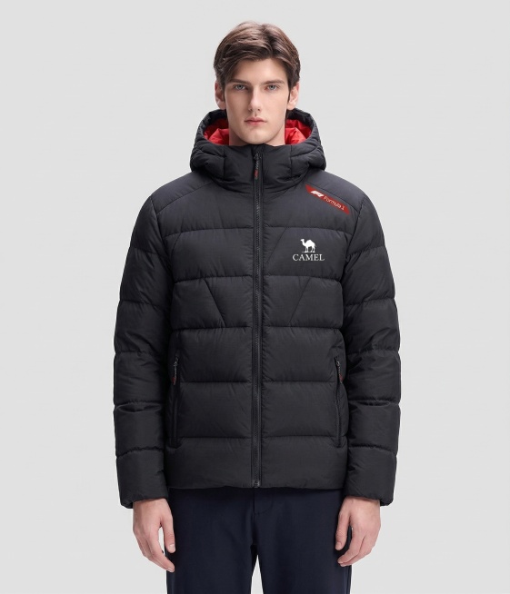 把图二的羽绒服服装手稿替换到图一的真人服装上预览效果