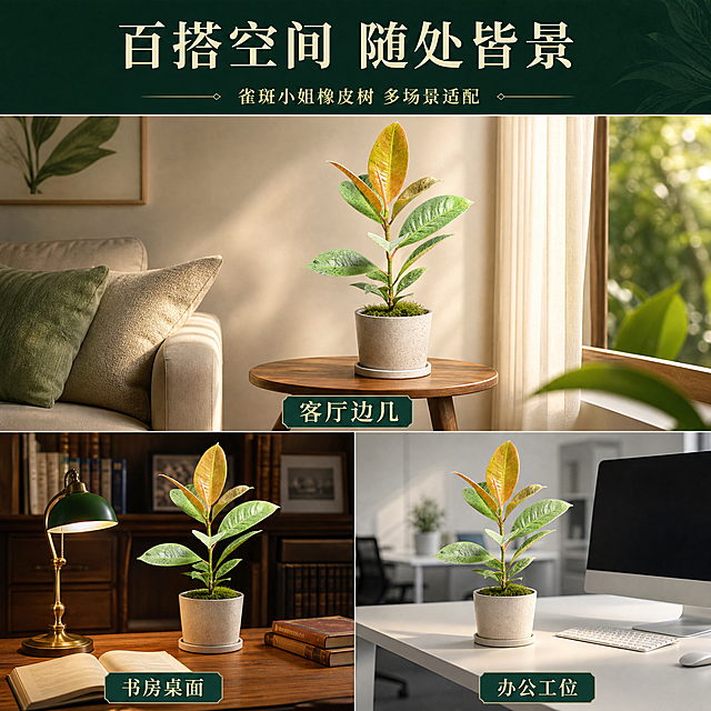 [主图-7] 多场景适配展示图 雀斑小姐橡皮树空间应用
[统一基调] 高端热带雨林自然风格 深绿墨绿为主色调 金色阳光穿透叶片形成丁达尔效应 标题字体为高端衬线体 主标题字色象牙白 副标题字色浅金绿 强调色为翡翠绿 整体商业摄影质感 画面干净高级 无多余杂物
[画面] 画面采用三宫格拼图形式 展示雀斑小姐橡皮树在三个不同空间的摆放效果 上方大图占50% 展示客厅边几场景 下方左右两小图各占25% 左下图展示书房书桌场景 右下图展示办公室办公桌场景 每张图中植株都清晰可见 融入各自的空间环境 每个小场景下方标注空间名称 整体展示产品的多场景适配性
[光影质感] 每个场景都有对应的自然光线 客厅柔和自然光 书房温暖台灯光 办公室明亮办公灯 各自场景光影自然 植株融入感强 整体画面统一协调
[配色] 整体绿色系为主 各场景有各自的空间色调 客厅暖米色 书房木色 办公室冷白色 标题统一深墨绿 标注文字翡翠绿 整体和谐统一
[文字版式] 主标题"百搭空间 随处皆景"大号高端衬线体 深墨绿色 位于画面最上方居中 三个场景下方分别标注"客厅边几" "书房桌面" "办公工位" 小号字体 翡翠绿色 每个场景标注在对应区域下方 排版整齐 画面有细细的白色分割线区分三个区域
[输出要求] 1:1正方形 2048px 每个场景产品清晰 文字清晰可读 多宫格排版整齐 负向：变形 错字 模糊 杂乱 水印 平台Logo 分割线不均 场景重复