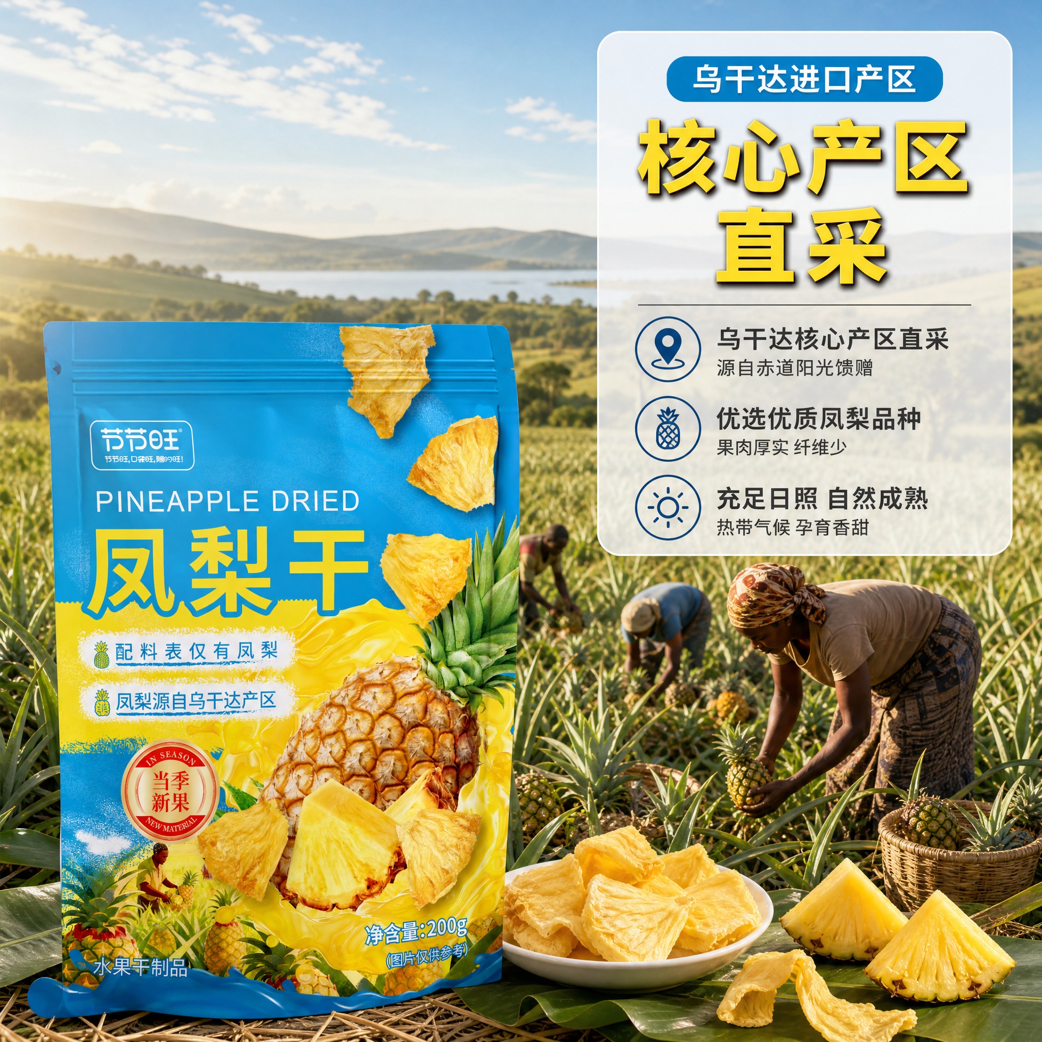 [主图-2] 核心亮点与产地溯源，建立乌干达进口产区的信任感，… - 图片创意预览