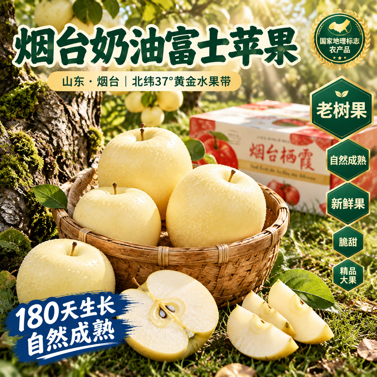 京东电商主图，800×800像素，1:1比例。背景为山东烟台栖… - 图片创意预览