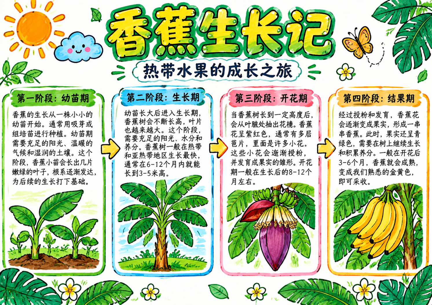 香蕉生长记主题手抄报，马克笔手绘风格，白色底纸，横版A4尺寸。… - 图片创意预览