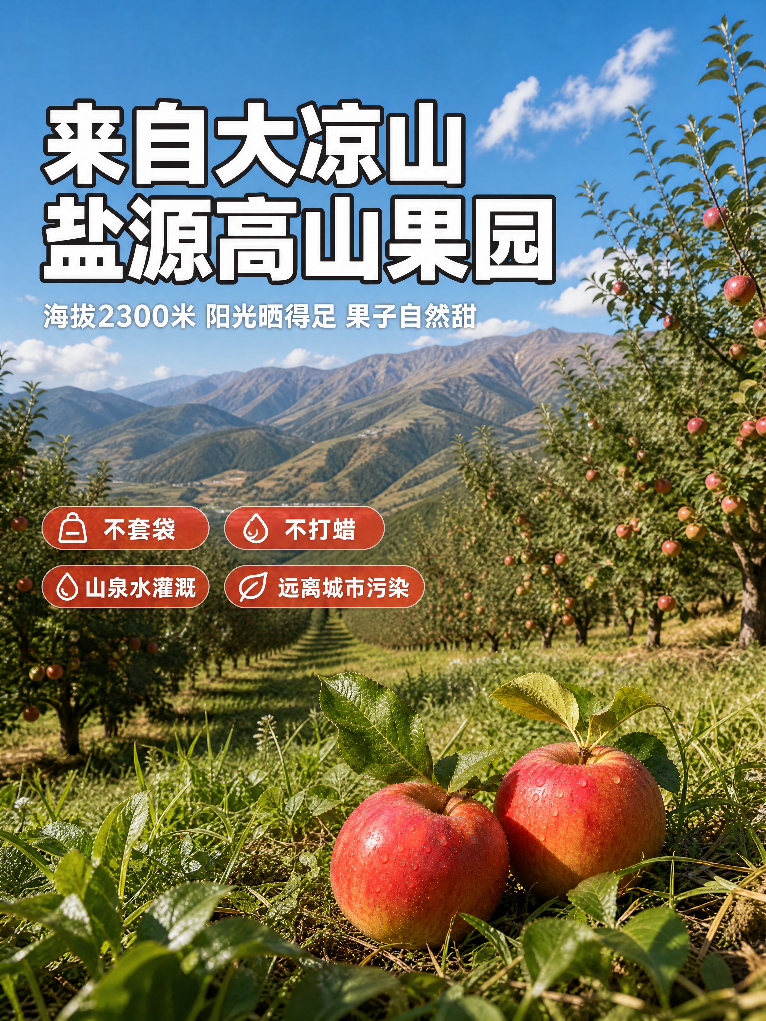 [主图-2 3:4版] 产地风景，真实果园实拍风格，轻度精修。… - 图片创意预览