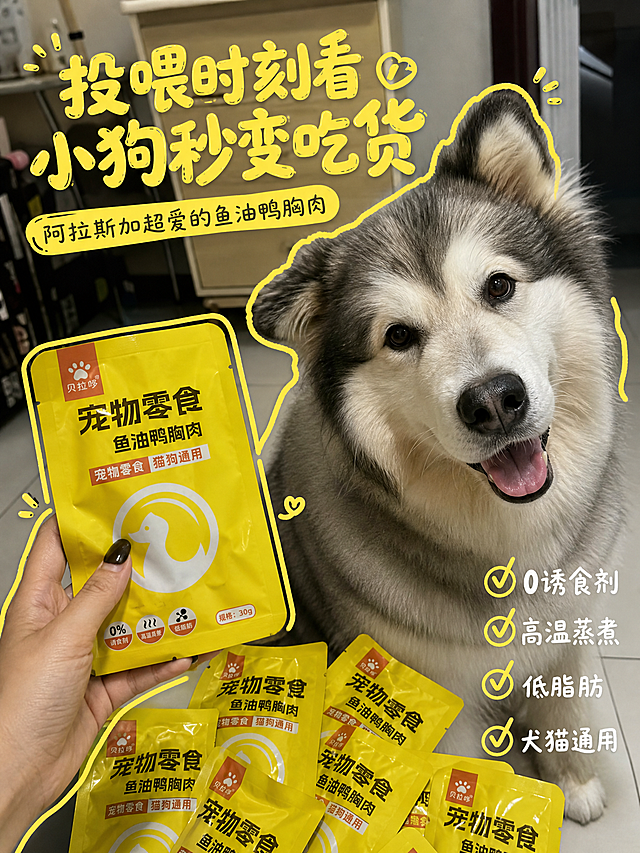 小红书封面图，贝拉哆鱼油鸭胸肉宠物零食，参考图为真实宠物合影手绘描边风格，展示产品包装和阿拉斯加狗狗合影，黄色描边装饰，手写风格卖点文字，主标题“投喂时刻看 小狗秒变吃货”，副标题“阿拉斯加超爱的鱼油鸭胸肉”，卖点文字“0诱食剂 高温蒸煮 低脂肪 犬猫通用”，真实居家场景，活泼有趣风格，适合小红书竖版封面