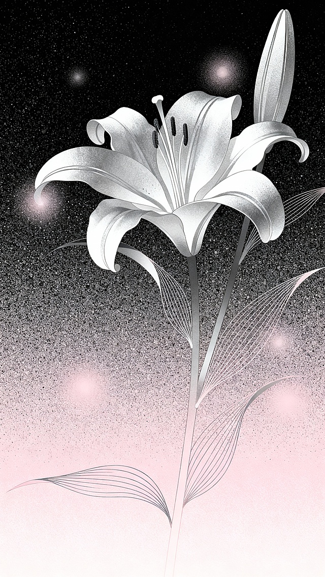 梦幻感与唯美感交织的插画风作品，以鎏银色的玉兰花在星尘粒子中绽放，融合虚拟自然与优雅线条，营造出静谧而神秘的节日氛围。