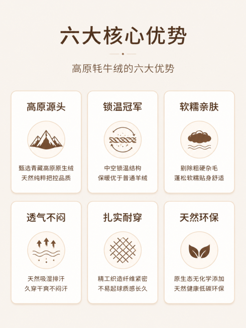[第2屏] 六大核心卖点总介绍屏，展示高原牦牛绒六大优势。
[氛围/风格] 简洁干净，自然质朴，高级商业设计感，保持和首屏一致的暖调风格。
[元素布局] 顶部放置模块标题"六大核心优势"，中部排列6个预览效果